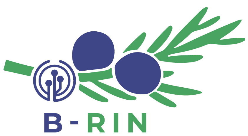 B-RIN logo barvni(1)